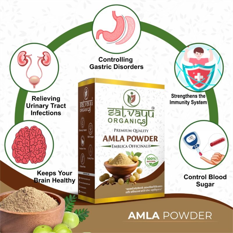 Amla Powder - Image 3