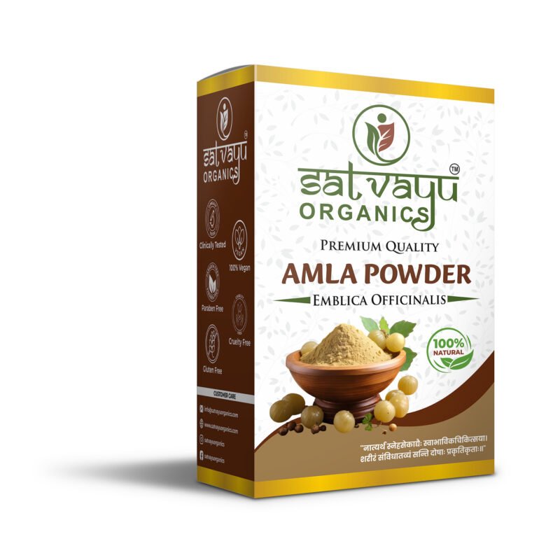Amla Powder - Image 6