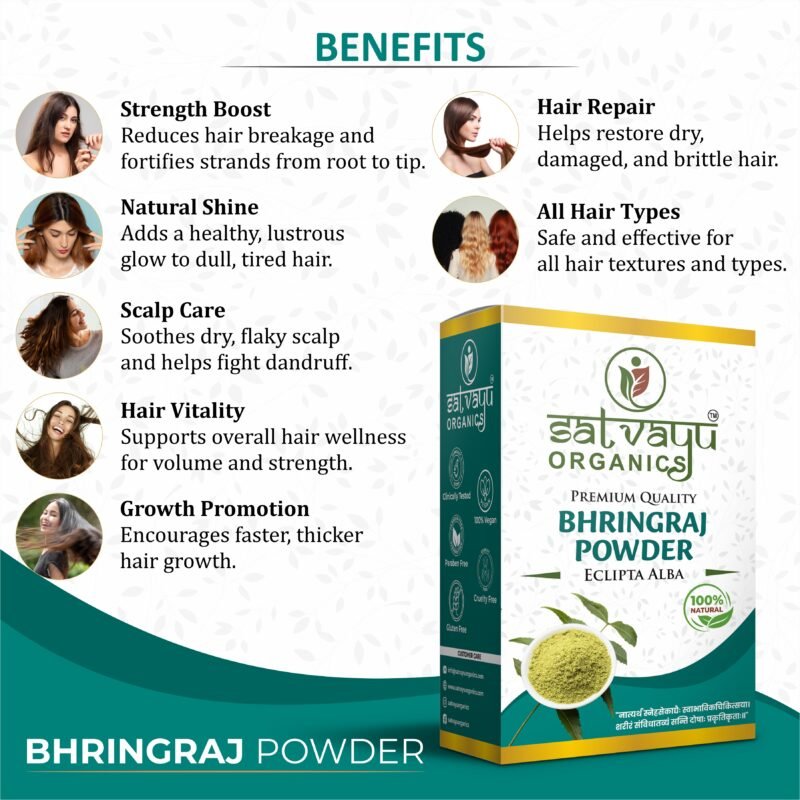 Bhringraj Powder - Image 4