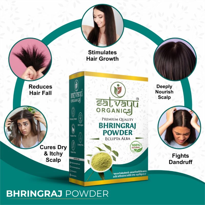 Bhringraj Powder - Image 3