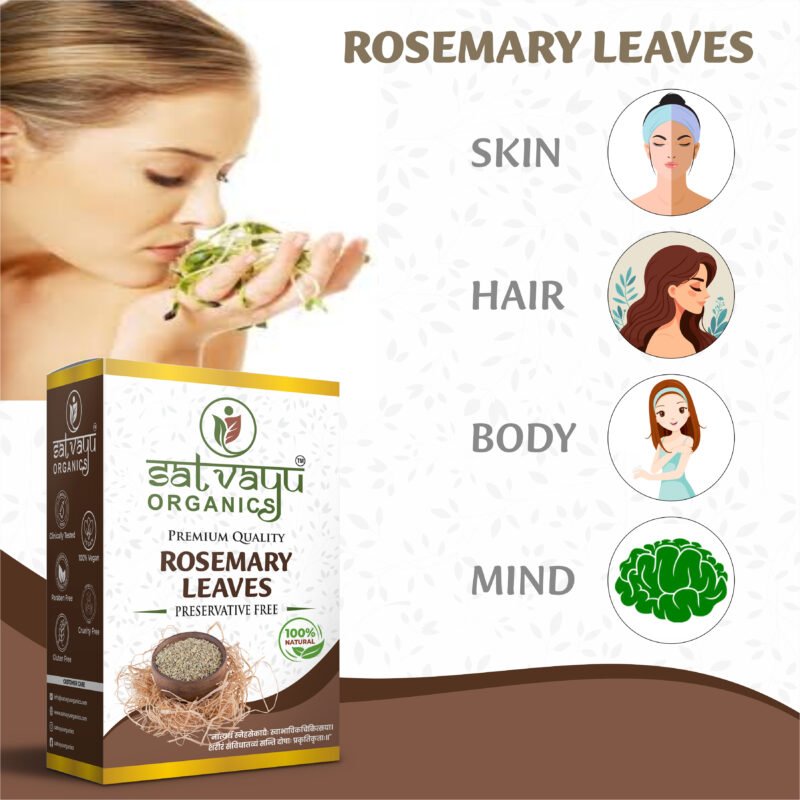 Rosemary Leaves - Image 3