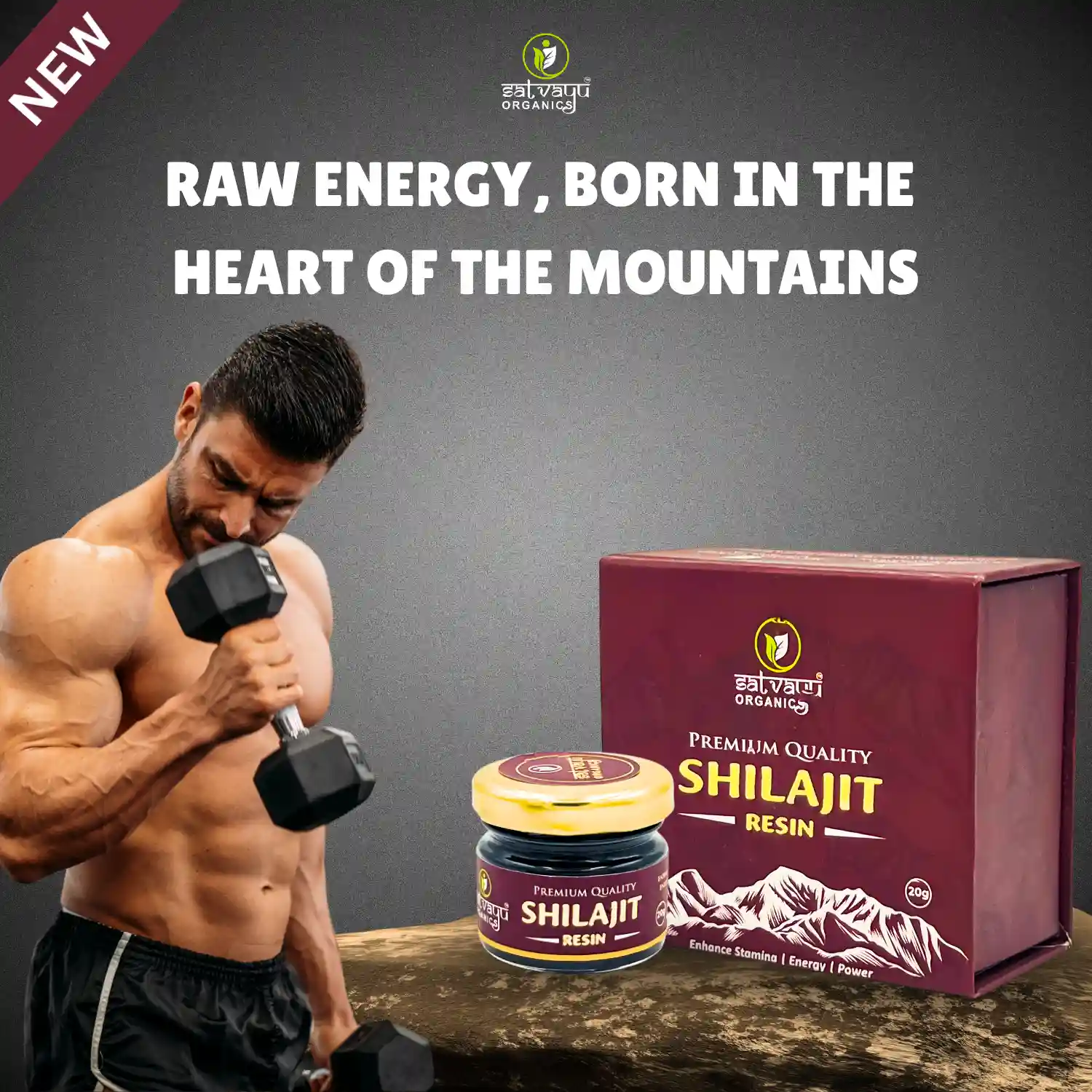 Satvayu Organics Natural Shilajit Resin