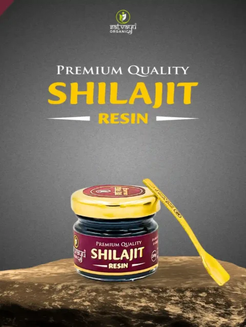 Satvayu Organics Natural Shilajit Resin