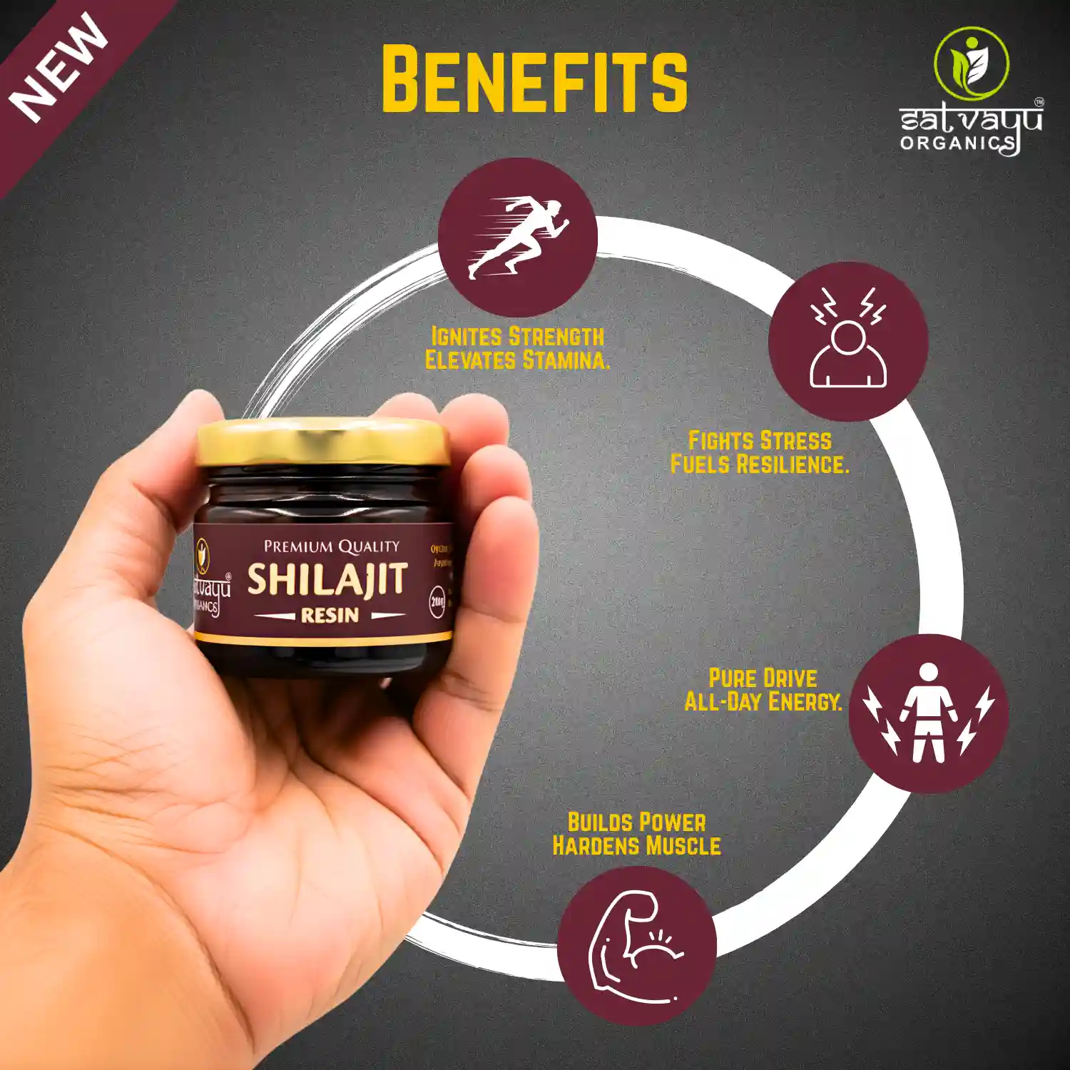 Satvayu Organics Natural Shilajit Resin