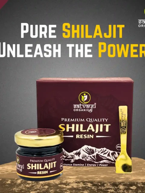 Satvayu Organics Natural Shilajit Resin